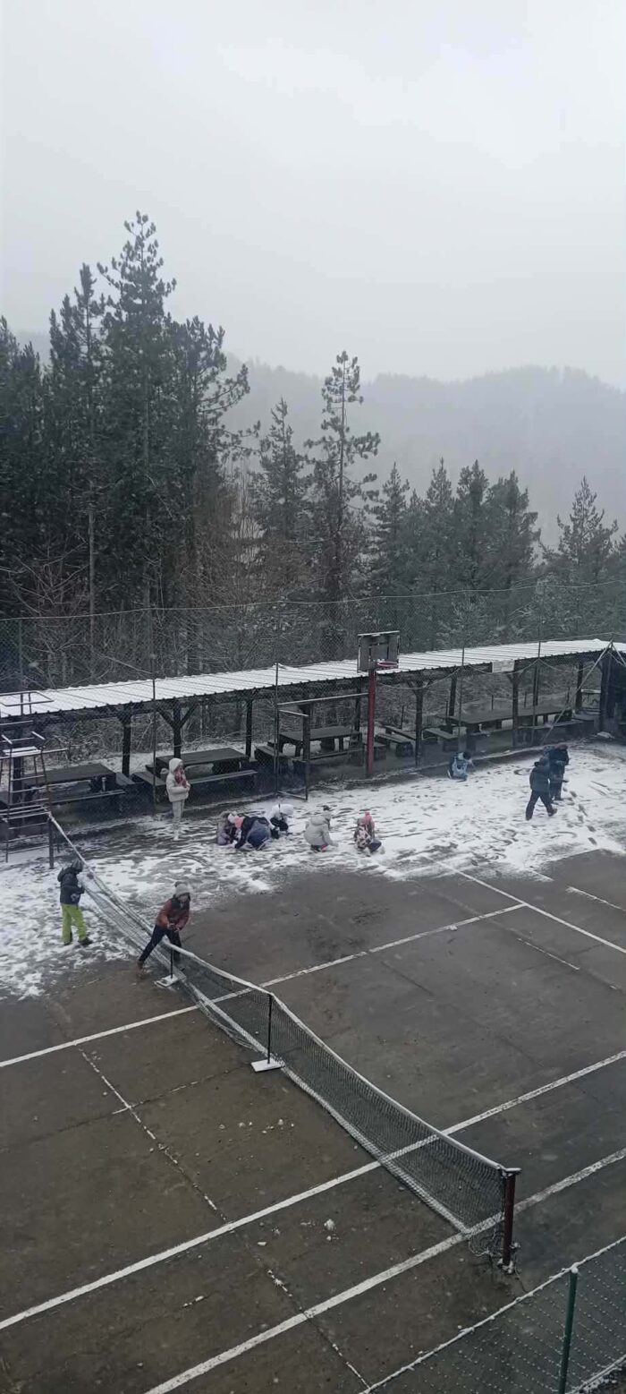 бесплатно зимување