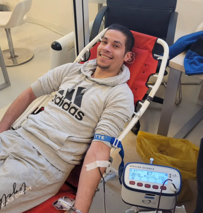 роденденот на Тоше